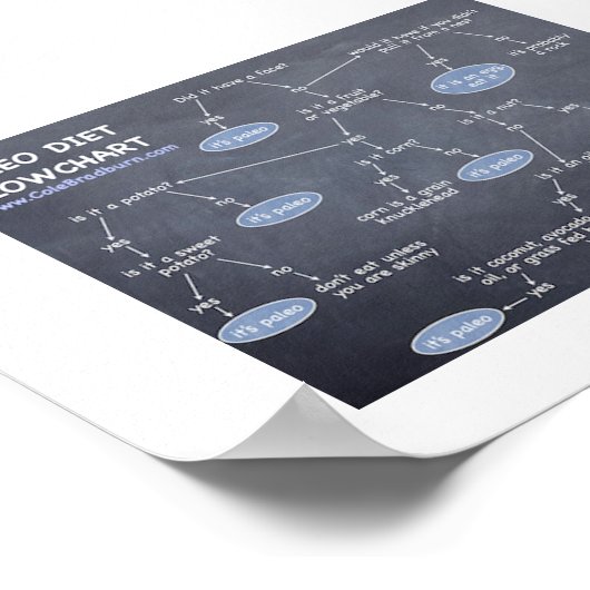 Poster 7 x 5 Paleo Diet Flowchart (Coin)