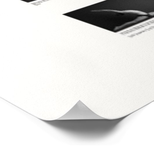 Poster 84 Asanas: Masters' Core System (Coin)