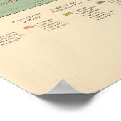 Poster 87 Occupations par race, nativité 1900 (Coin)