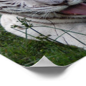 Poster 8,5 x 8,5 Poster/Modèle d'impression (Coin)