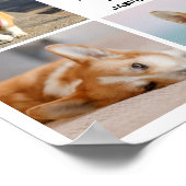 Poster 8 Collage Photo Souvenir de perte de chien (Coin)