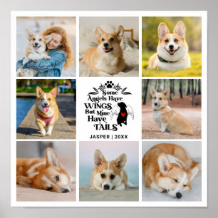 Poster 8 Collage Photo Souvenir de perte de chien