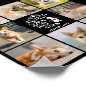Poster 8 Photo Collage Animaux de compagnie Chien Perte S (Coin)
