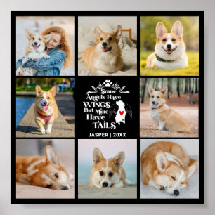 Poster 8 Photo Collage Animaux de compagnie Chien Perte S