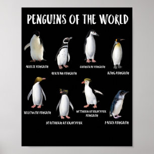 Poster 8 Rares pingouins du monde Animaux amusants