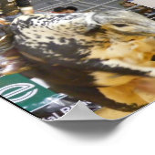 Poster 8 Seconde Junkie (Coin)