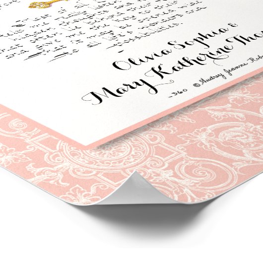 Poster 8 x 24 Construire un enfant sain Blush Damask modè (Coin)