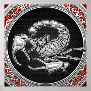 Poster [900] Scorpion d'argent sacré sur noir