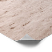 Poster 93e New York Infantry Company C, Guerre civile (Coin)