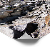 Poster 99 ou 87 Retour à Mt Whitney 2 (Coin)
