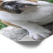 POSTER 9-17-05 003 (Coin)