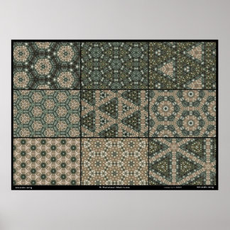 Poster 9 Matrices connexes