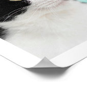 Poster 9 Photo Collage Moderne Chat Chien (Coin)