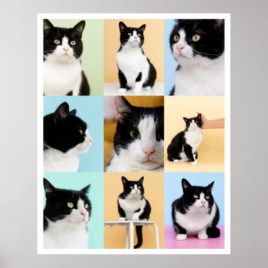 Poster 9 Photo Collage Moderne Chat Chien (Devant)