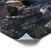 Poster 9, Rachel Miller (Coin)