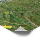 Poster A10 Pronghorn Antelope et Fleur sauvage (Coin)