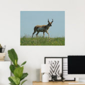 Poster A10 Pronghorn Antelope et Fleur sauvage (Bureau à domicile)