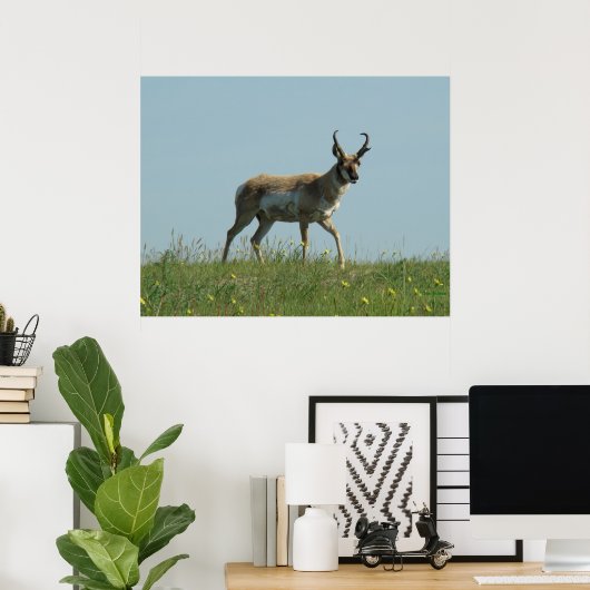 Poster A10 Pronghorn Antelope et Fleur sauvage (Bureau à domicile)