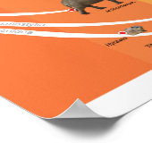 Poster A2 Evolution de la Paenungulata (Coin)