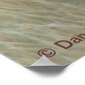 Poster A37 Pronghorn Antelope (Coin)