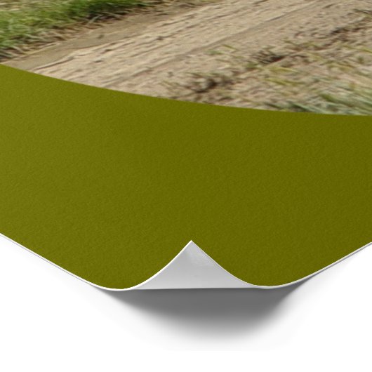 Poster A39 Pronghorn Antelope Buck (Coin)