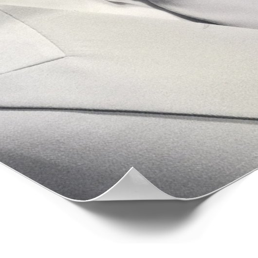 Poster A3 - Tito (Coin)