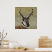 Poster A5 Pronghorn Antelope Big Buck Head Shot (Cuisine)
