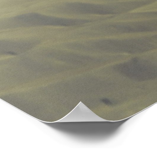 Poster A-10 Thunderbolt II (Coin)