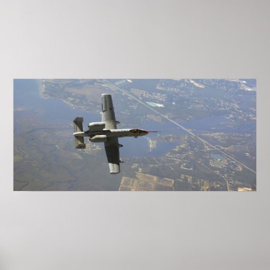 Poster A-10 Thunderbolt II (Devant)