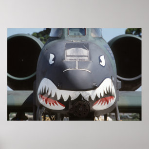Poster A-10_Thunderbolt_II_Shark_Face