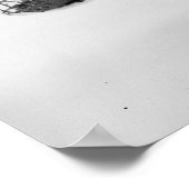 POSTER A-20 (Coin)