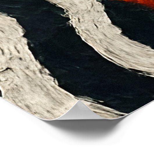 Poster A beautiful red fox  (Coin)