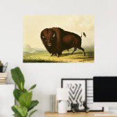Poster A Bison, vers 1832 (Bureau à domicile)