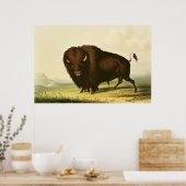 Poster A Bison, vers 1832 (Cuisine)