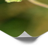 Poster A black ladybug with red spots  (Coin)