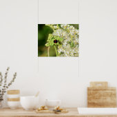 Poster A black ladybug with red spots  (Cuisine)