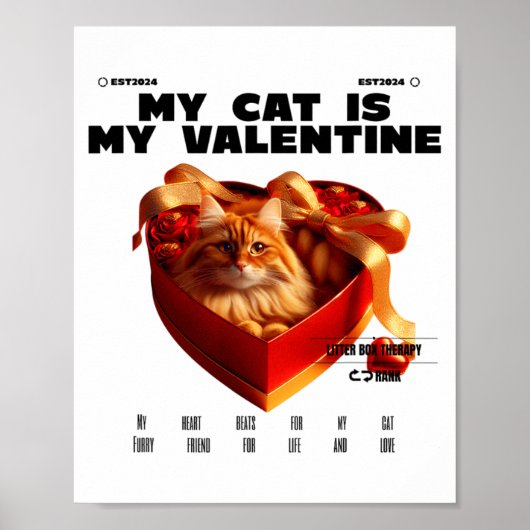 Poster A Cat In The Box Therapy Happy Valentine Day Funny (Devant)