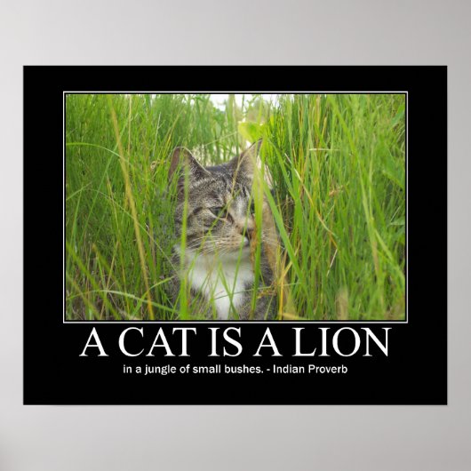 Poster A Cat is a Lion Indian Proverb Artwork (Devant)