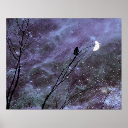 Poster A Celestial Moment (Devant)
