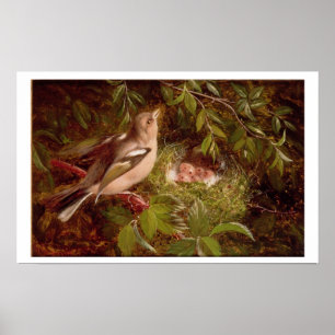 Poster A Chaffinch at its Nest, 1877 (oil on panel)