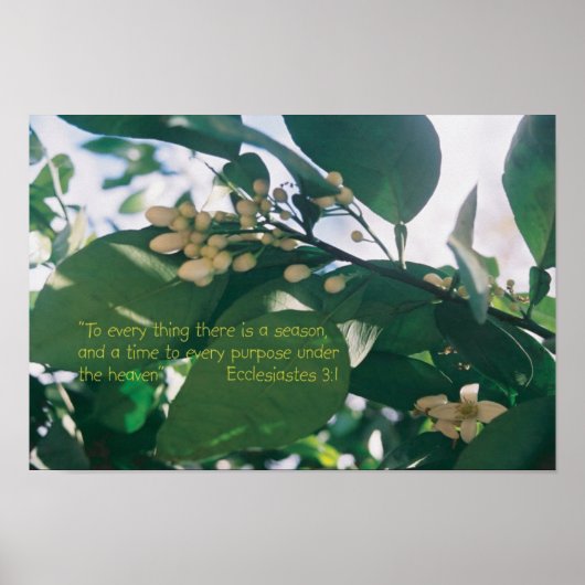 Poster A chaque chose il ya une saison Ecriture (Devant)