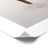 Poster A Cheyenne Brave, 1901 (Coin)