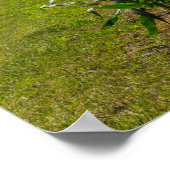 Poster À Côté D'Un Champ De Maïs (Coin)