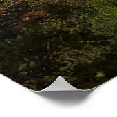 Poster À couper le souffle - Sedona, Arizona (Coin)