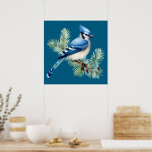 Poster A Cute Blue Jay (Cuisine)