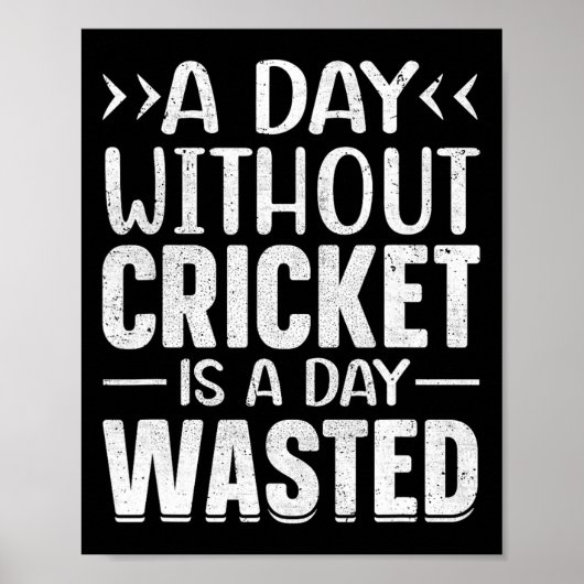 Poster A Day Without Cricket Funny Cricket Player Cricket (Devant)