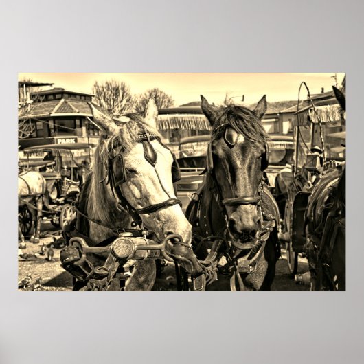 Poster à deux chevaux (Devant)