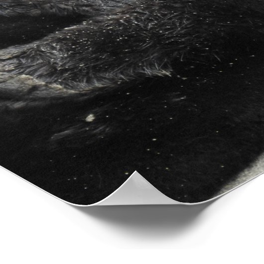 Poster A dreaming sea otter (Coin)