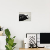 Poster A dreaming sea otter (Bureau à domicile)