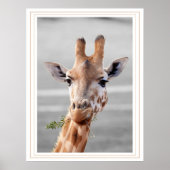 Poster A Été Repéré (Devant)